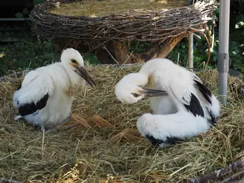 NaturOparC Hunawihr, Alsace (France)